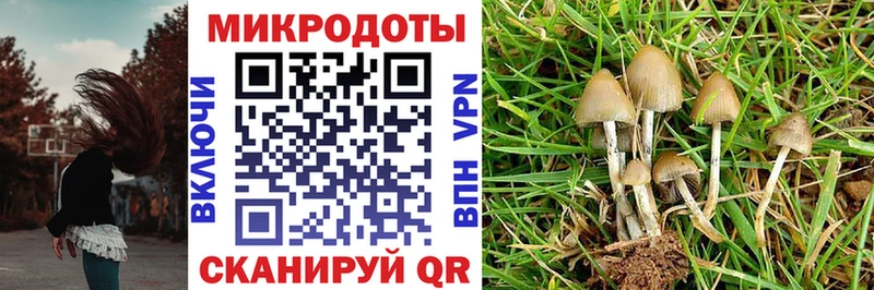 Псилоцибиновые грибы Psilocybe  omg ссылки  Вельск 